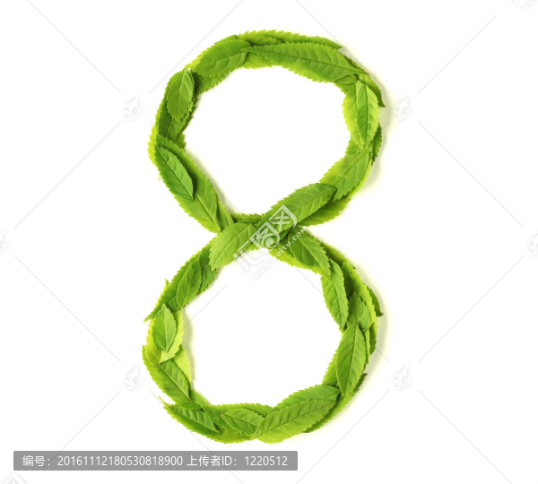 葉片數(shù)