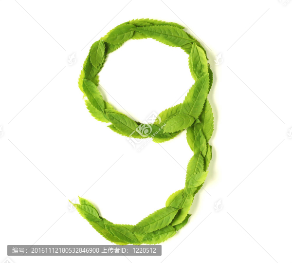 葉片數(shù)