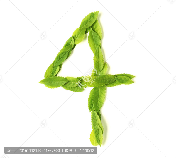 葉片數(shù)