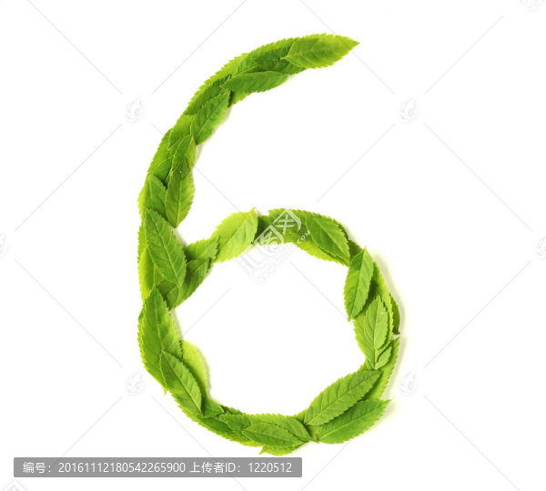 葉片數(shù)