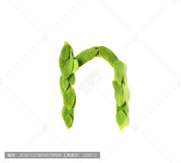 葉的信