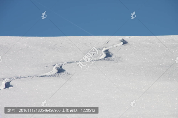 雪中的痕跡
