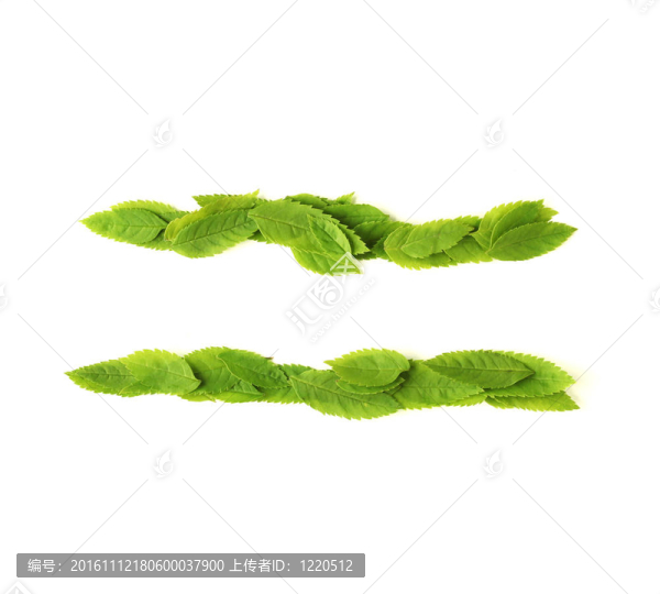 葉的符號(hào)
