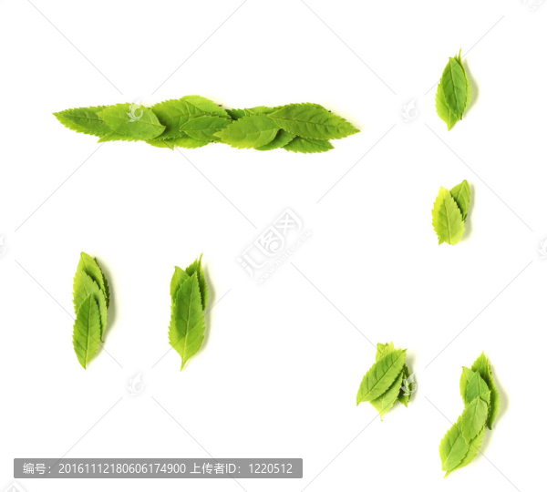 葉的符號(hào)