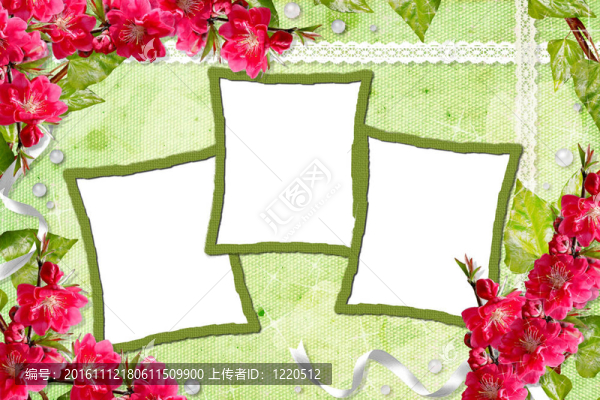 綠色背景的花和框架
