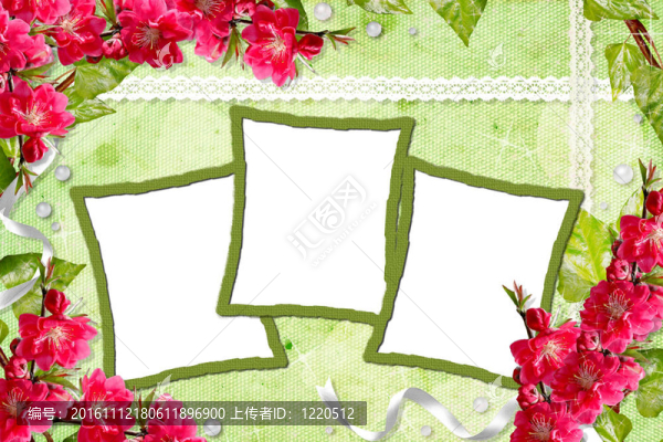 綠色背景的框架和花