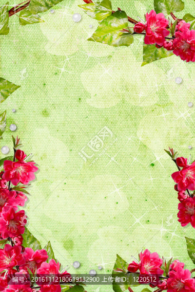 柔和的春天的背景與蘭花