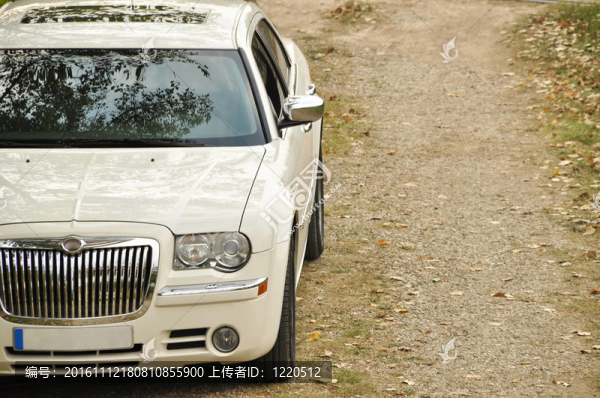 白色的車
