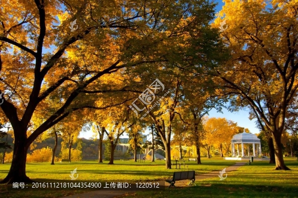 公園里的秋天的顏色