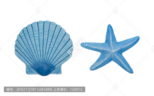 海洋飾品