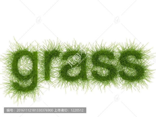 生態(tài)式草信