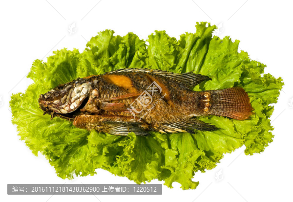 煎羅非魚魚