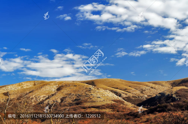 山地景觀