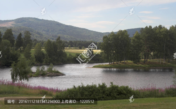夏天的風(fēng)景