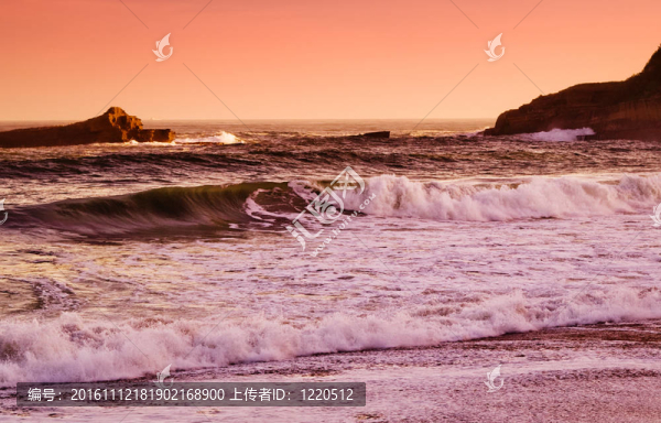 海洋
