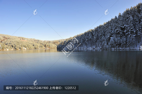 尼斯湖風光與森林