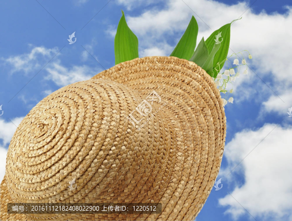 草帽