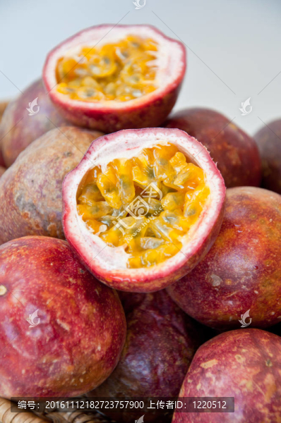 西番蓮-匯圖網(wǎng) www.fosd68.com 西番蓮