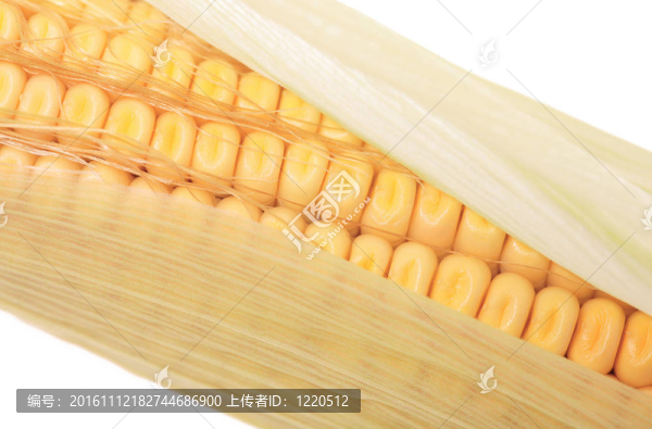 玉米穗