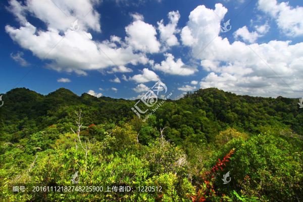 guajataca森林保護區(qū)-波多黎各