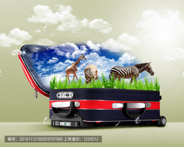 紅色手提箱里有綠色的大自然