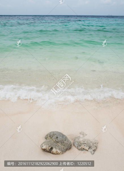 美麗的海灘