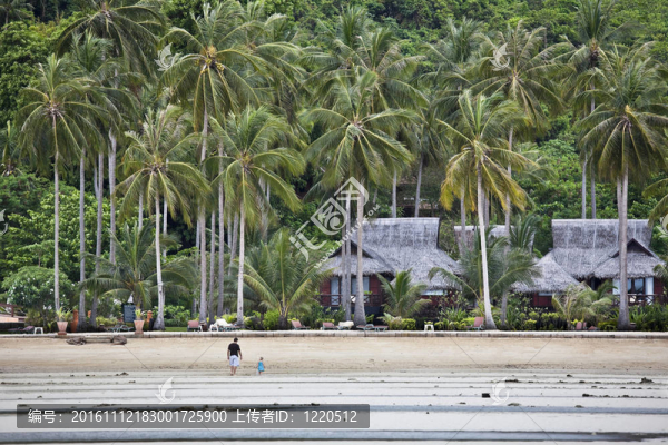 在一個(gè)熱帶海灘平房。