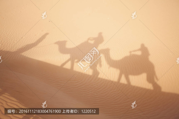 Sahara沙上的駱駝陰影。