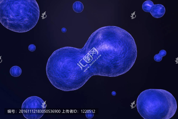 細(xì)胞分裂