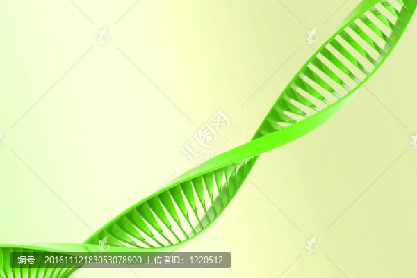 DNA的數(shù)字說明