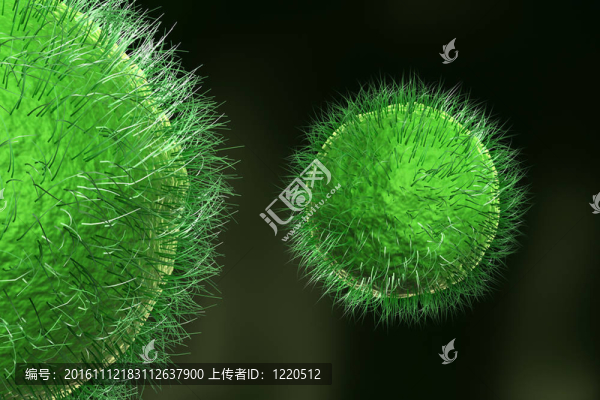 病毒；詳細(xì)的3D插圖