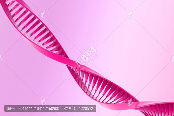 DNA的數(shù)字說明