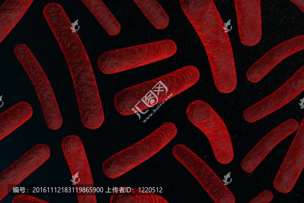 細(xì)菌的三維插圖