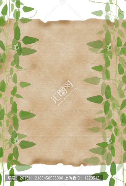 內(nèi)襯紙由天然綠葉框背景