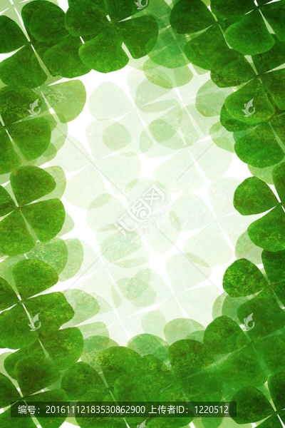 綠色植物架