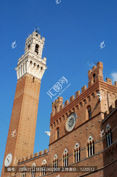 塔樓；錫耶納；意大利
