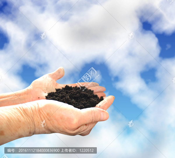 土壤在手；天空和云彩