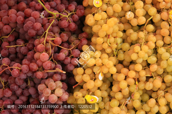 水果。紅葡萄和白葡萄