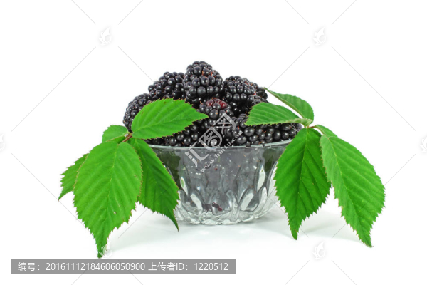 在玻璃碗新鮮黑莓