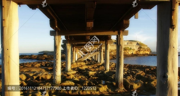Le,Perouse橋