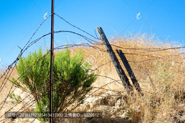 在夏季炎熱時用鐵絲網圍住灌木叢刷