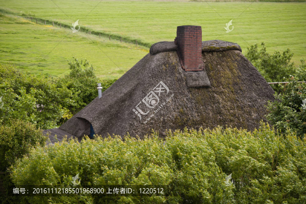 茅草屋頂