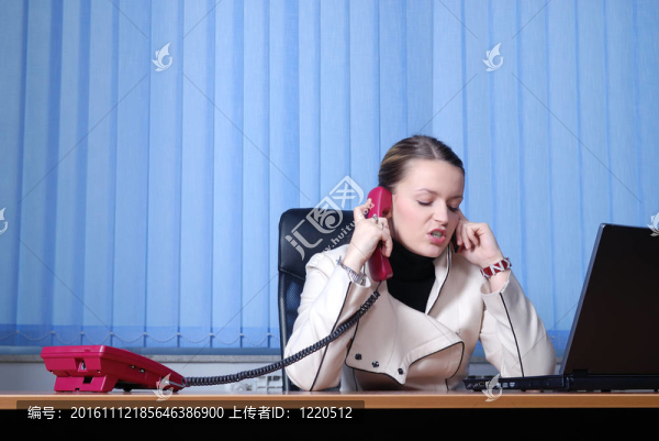 年輕的女商人，正在辦公室里一臺筆記本電腦。