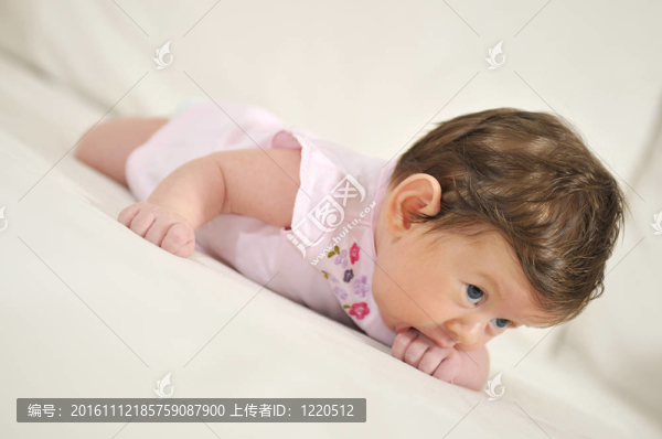 可愛(ài)的小寶貝