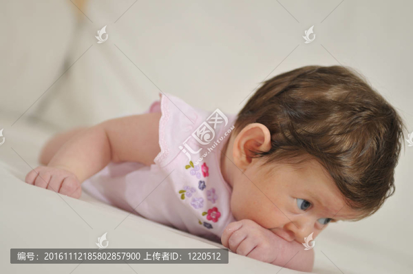 可愛的小寶貝