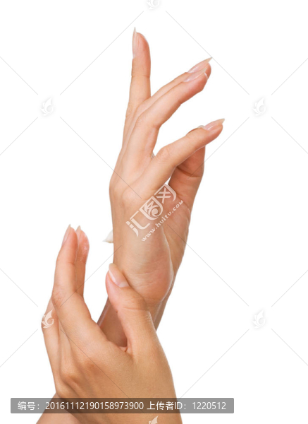 美麗的指甲和女人的手指