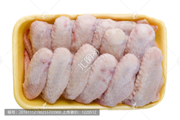 原始的翅膀