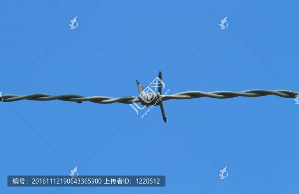 電線