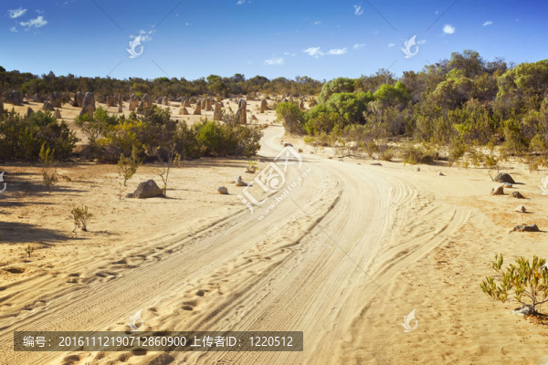 沙漠公路