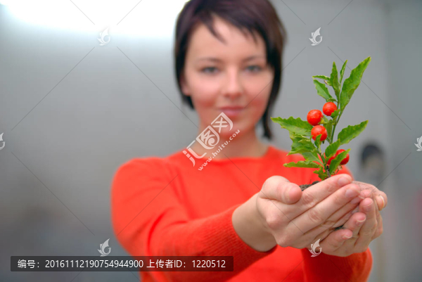 美麗女孩控股年輕工廠